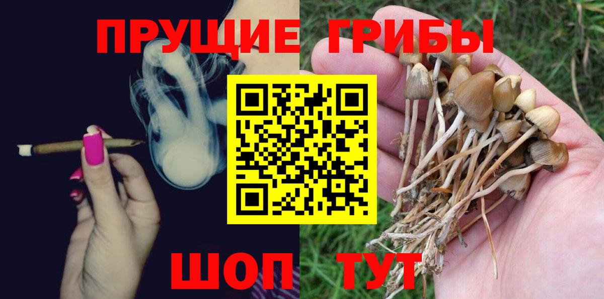 Псилоцибиновые грибы Cubensis Ханты-Мансийск